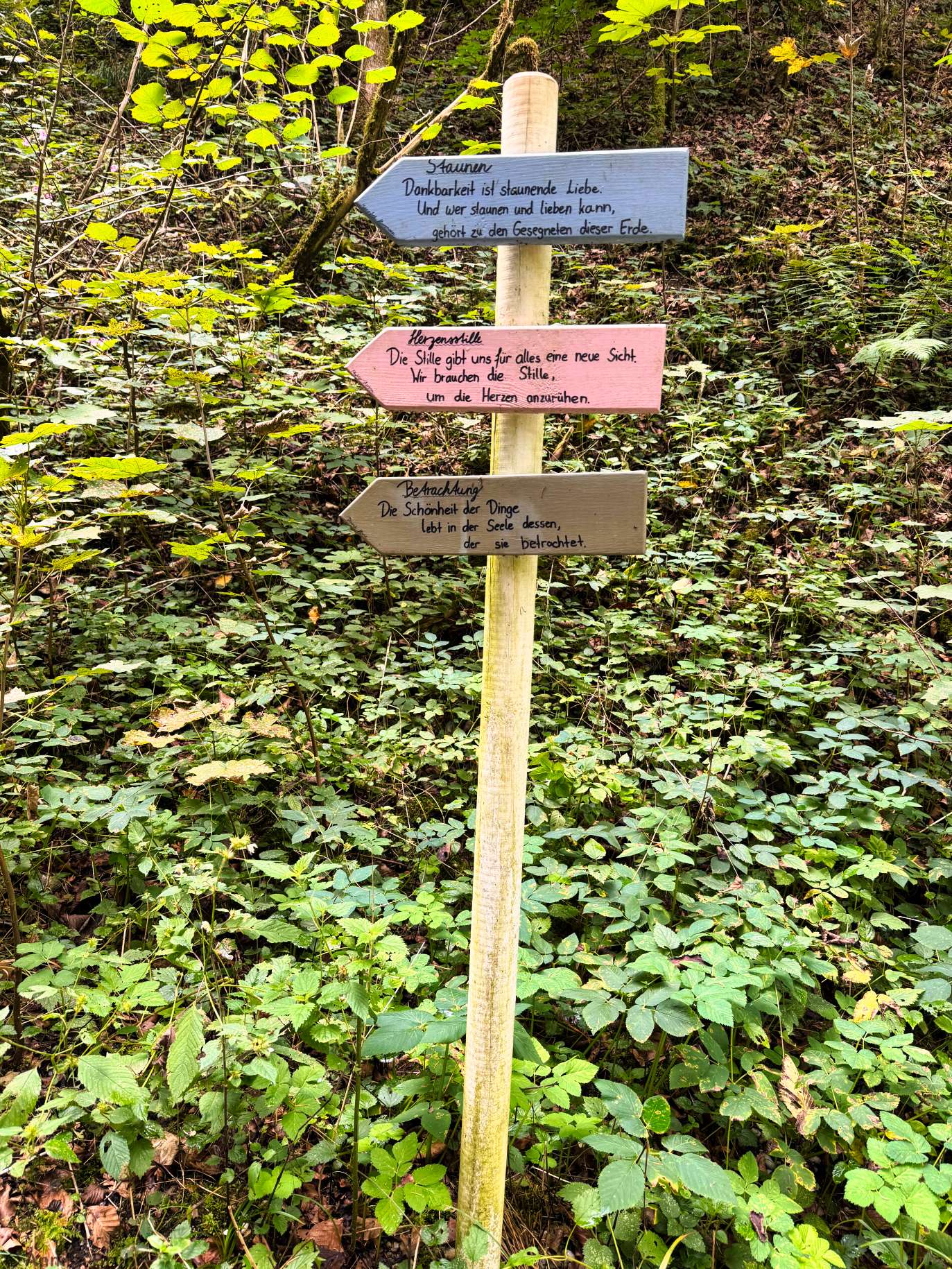 Kleine Sprüche am Leonbergwanderweg